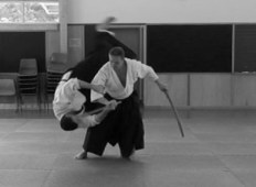bokken koshi nage