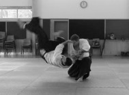 Seio otoshi - Ian Grant Sensei