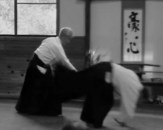 Jo nage throw