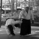 Yonklyo - Peter Kelly Sensei