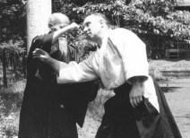 atemi o-sensei-atemi