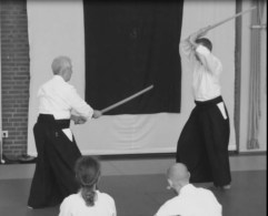 Bokken practice - partnered.