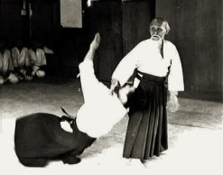 osensei reitai kokyu nage